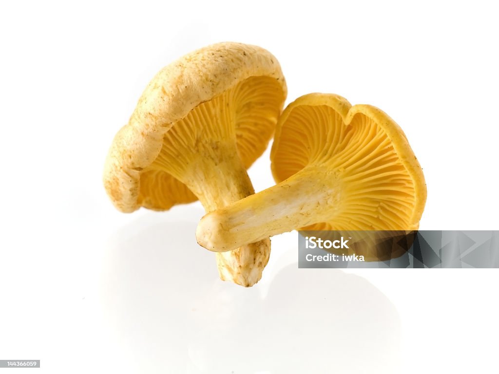 Funghi - Foto stock royalty-free di Autunno