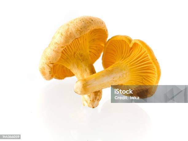 버섯 Cantharellus에 대한 스톡 사진 및 기타 이미지 - Cantharellus, 가을, 개체 그룹