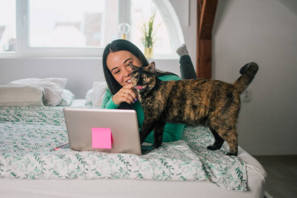istock Young woman with cat using laptop 1443660704
