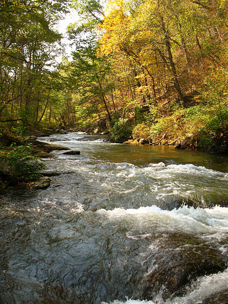 istock Gunpowder River-Autumn 144366251