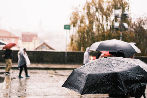 istock Umbrellas open because of the rain in Porto 1443663547
