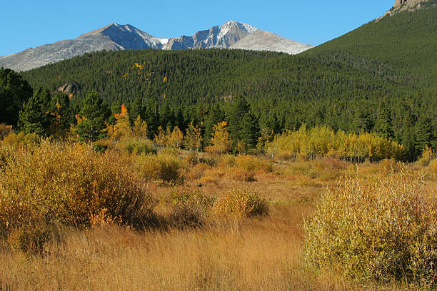 лонгс пик, осенняя листва - mountain peak long colorado mountain стоковые фото и изображения