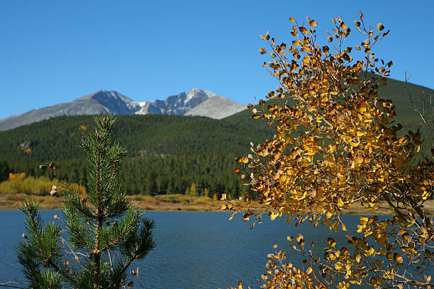 два деревьев, лонгс пик - mountain peak long colorado mountain стоковые фото и изображения