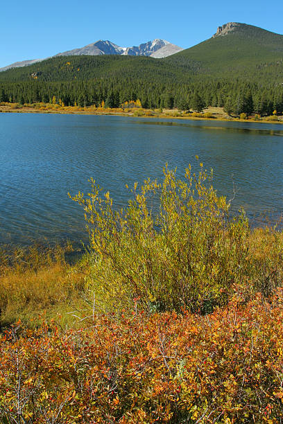 осенняя листва, лилия озеро, лонгс пик - mountain peak long colorado mountain стоковые фото и изображения