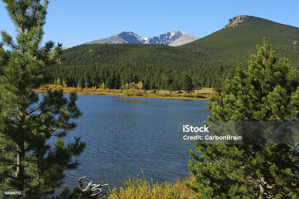 Lily Lake und Longs Peak - Lizenzfrei Baum Stock-Foto