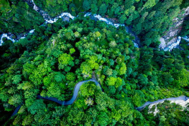 Aerial view of a winding road and a river