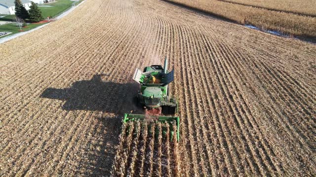 Chopping Corn in NE Wisconsin in November