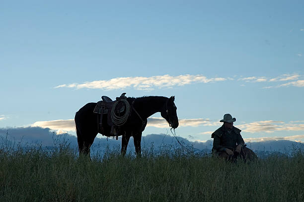cowboy roping and riding