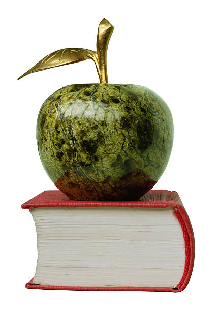 Stone apple en el libro - foto de stock