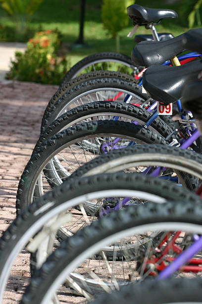 istock Row of bicycles wheels 144367403