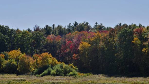istock Colors of Autumn 1443675058