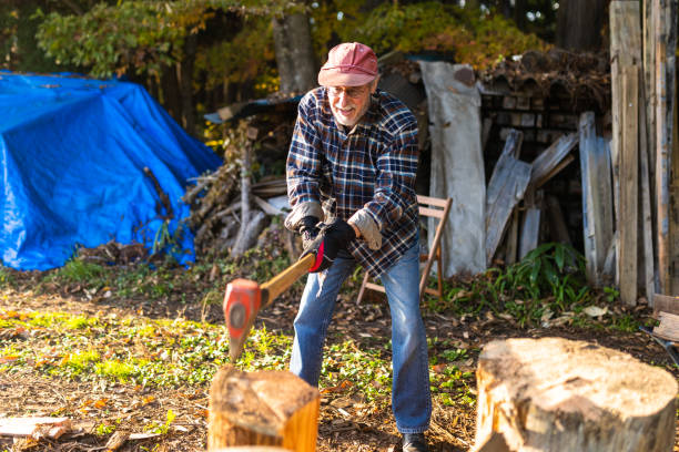 istock A senior man chopping wood with axe in preparation for winter 1443676463