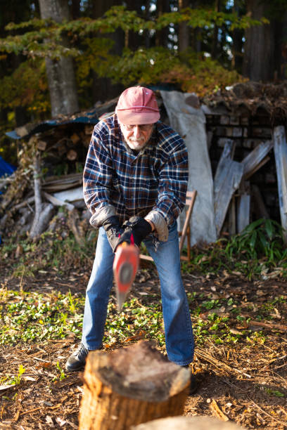 istock A senior man chopping wood with axe in preparation for winter 1443676464