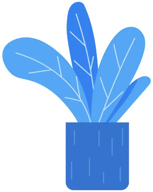 Vector illustration of Decorative green plant with long leaves in ceramic pot, pot with houseplant. Home interior plant