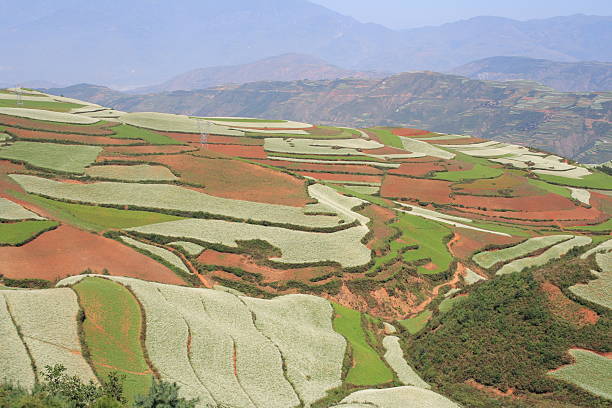 The Wumeng Mountains' bright red soil, the buckwheat's yellow and Yunnan's dramatic skies make the region around Dongchuan a paradise for photographers.