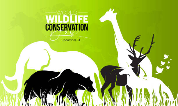 istock Vector illustration design concept of World Wildlife Conservation Day observed on December 4 1443688214
