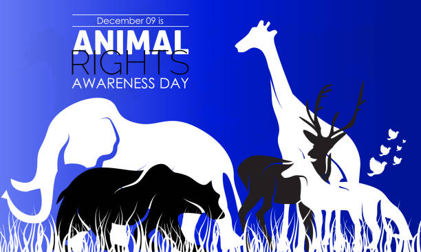 istock Vector illustration design concept of International Animal Rights Day observed on December 10 1443688841