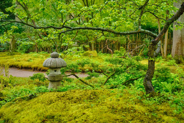 istock Japanese garden, Park Clingendael, The Hague, Netherlands 1443689256