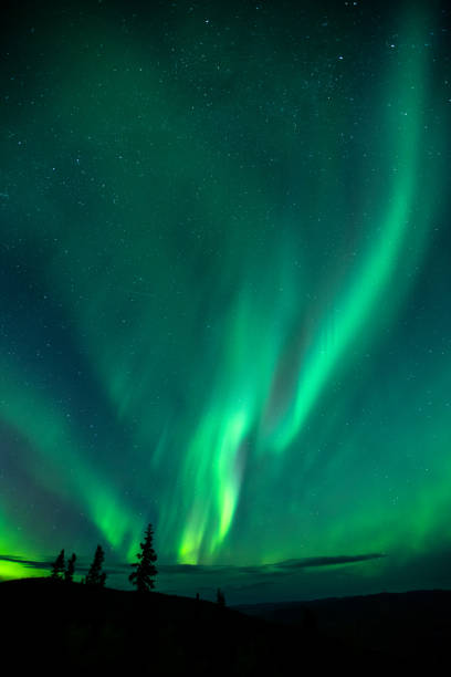 istock Aurora Borealis, Dawson City, Yukon, Canada 1443697219