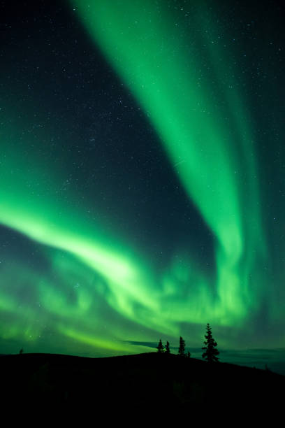 istock Aurora Borealis, Dawson City, Yukon, Canada 1443697252