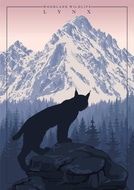 ilustrações, clipart, desenhos animados e ícones de vetor canada lynx na floresta florestal das montanhas - silhouette landscape cliff mountain