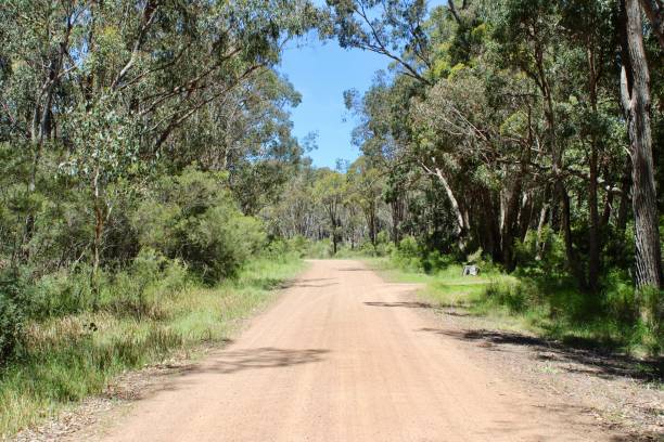 istock Countryside Dirt Road View 1443708718