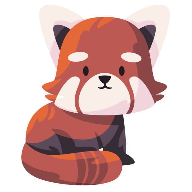 Red panda cute adorable face looking like fox animal fluffy fur Red panda cute adorable face looking like fox animal fluffy fur vector red panda small panda raccoon family stock illustrations