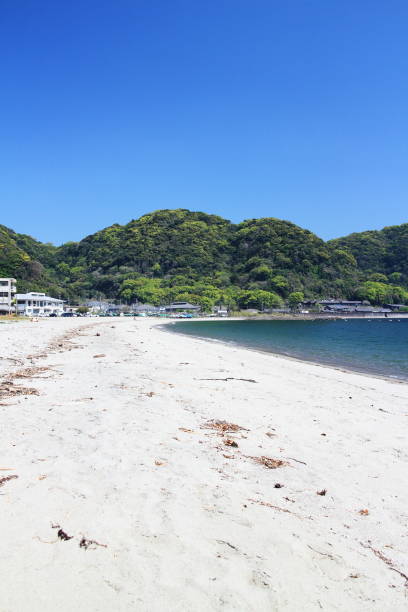 istock View of Iso Beach on a sunny day 1443717171
