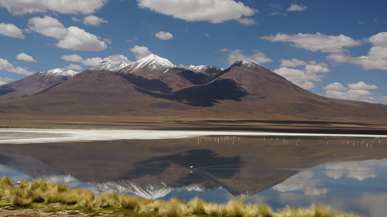 Laguna Hedionda is located in the department of Potosí, Bolivia.