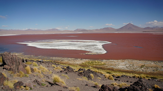 Laguna Colorada is located in the highlands of Bolivia
