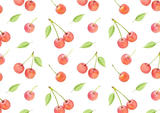 Vector illustration of Cherry pattern drawn in watercolor