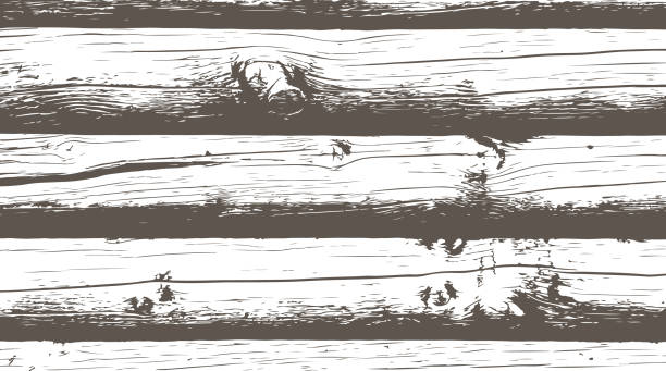 Log cabin wall texture One color background with the texture of an old log cabin wall. wood log close up stock illustrations