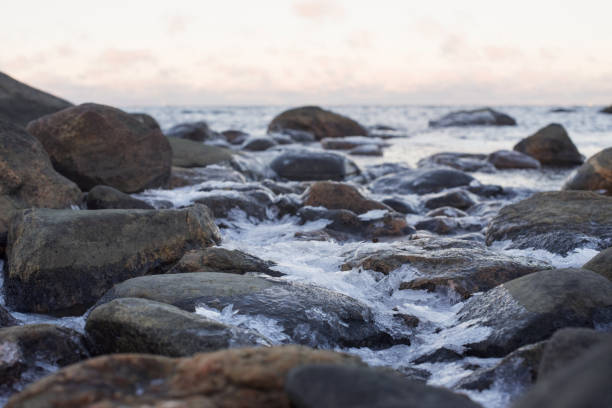 ice accumulated on the shore of the sea, on the coast of Finland at the beginning of winter
