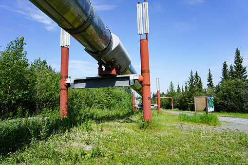 The trans Alaska pipeline in warm summer weather.
