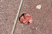 Discarded pink bubble gum on a pavement