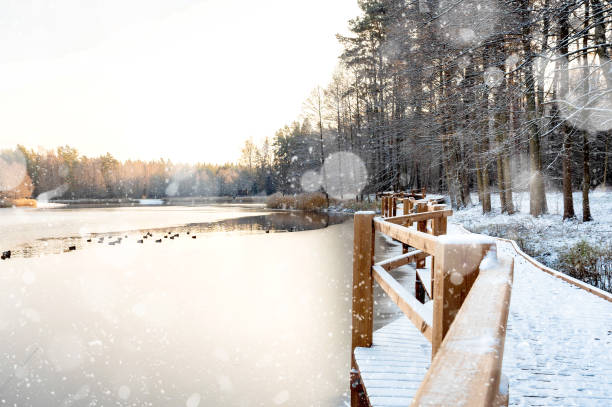 istock View of wonderful winter landscape 1443747647