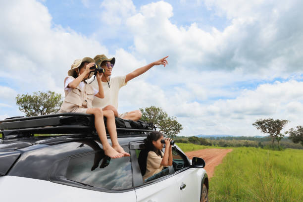 Two asian child girls in car and sitting on car roof with their father looking through binocular searching for animal while traveling with car in tropical forest with fun. stock photo