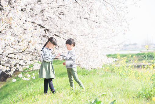 8-year-old girl and 6-year-old boy walking along cherry blossom trees
