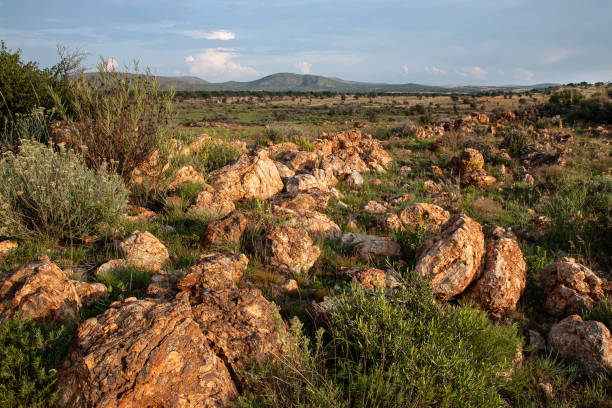 フレデフォート・ドームのストックフォト