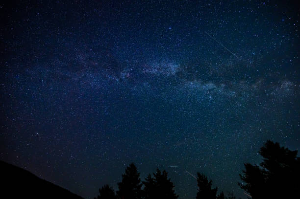 istock Milky Way over the forest at night, galaxy 1443758545