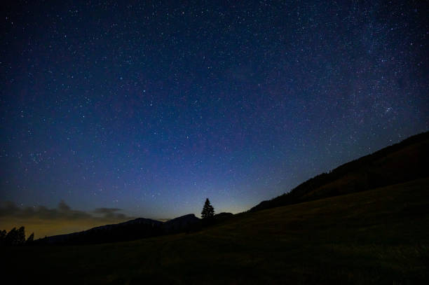 istock Milky Way over the forest at night, galaxy 1443758575