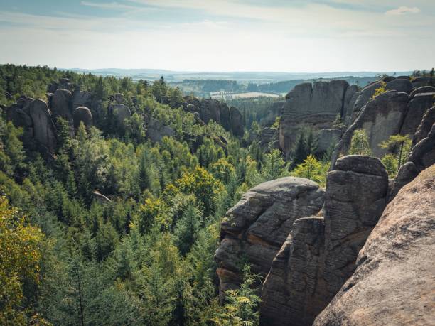 istock Scenic view of a lush green forest surrounded by rocky cliffs in cloudy sky background 1443759733
