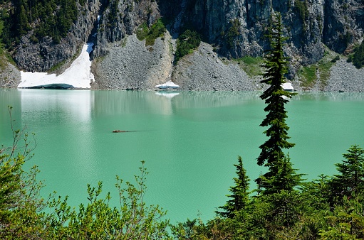 A beautiful view of spruces by an azure Blanca Lake surrounded by cliffs