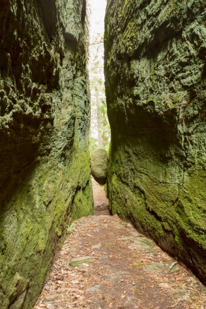 istock Narrow canyon in Kungsbacka, Sweden 1443761057