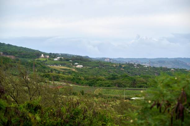 istock Beautiful view of a hill with a cloudy sky background 1443763669
