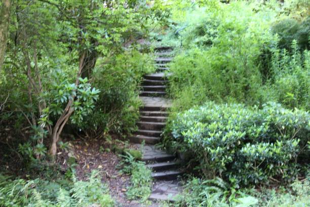 istock Stone staircase among the lush grass in the park 1443764168