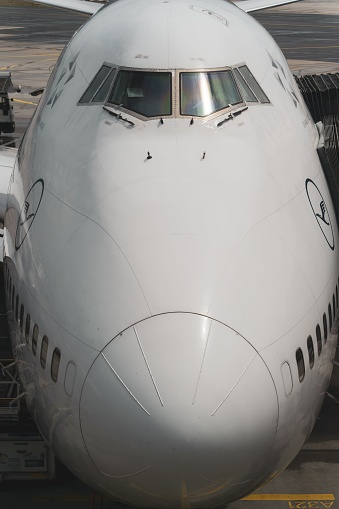 Frankfurth, Germany – June 09, 2022: A vertical shot of a frontal part of a Lufthansa dreamliner airplane