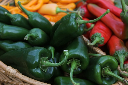 Poblano Peppers with Red Peppers and Yellow Peppers