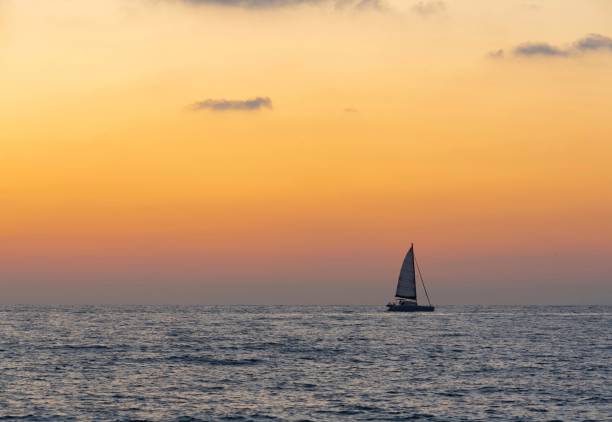 istock Boat on a sea during sunset 1443771457