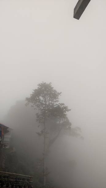 istock Cold Fog in mountain 1443772882